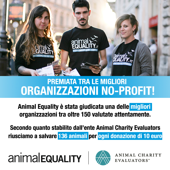 Animal Equalty premiata da Animal Charity Evaluators