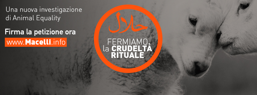 Fermiamo la crudeltà rituale