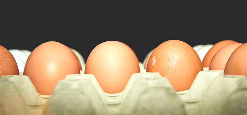 Perché negli USA è vietato fare pubblicità alle uova con soldi statali descrivendole come "salutari, sicure o nutrienti"