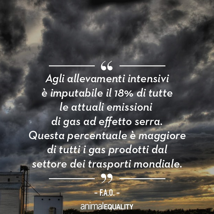 4 motivi per cui gli allevamenti intensivi sono il peggior nemico del pianeta Terra 2
