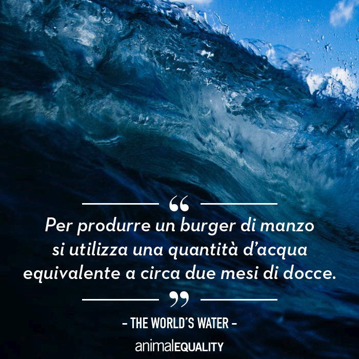 4 motivi per cui gli allevamenti intensivi sono il peggior nemico del pianeta Terra 3