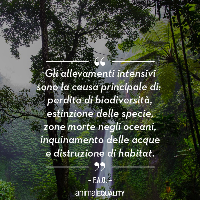 4 motivi per cui gli allevamenti intensivi sono il peggior nemico del pianeta Terra 5
